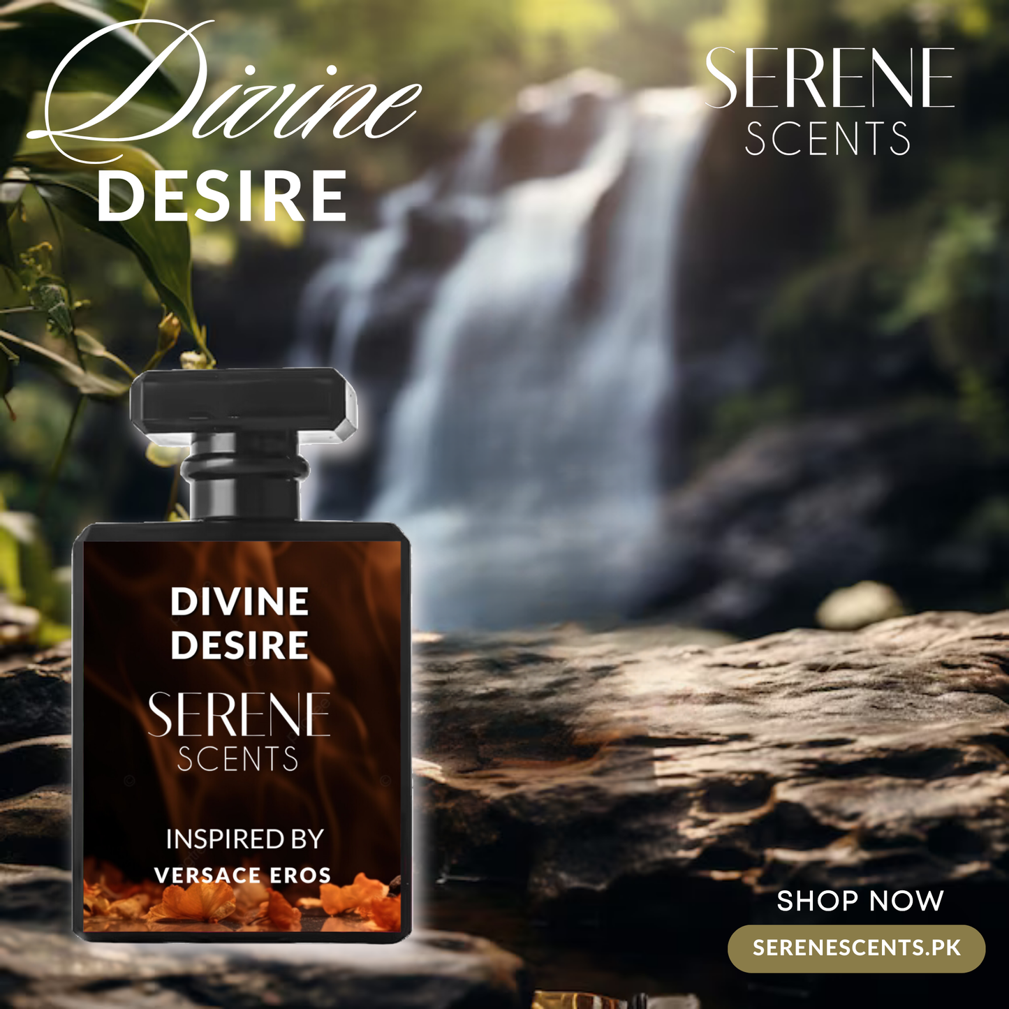 11.11 Mega Sale Offer - Divine Desire - 50 ML Perfume