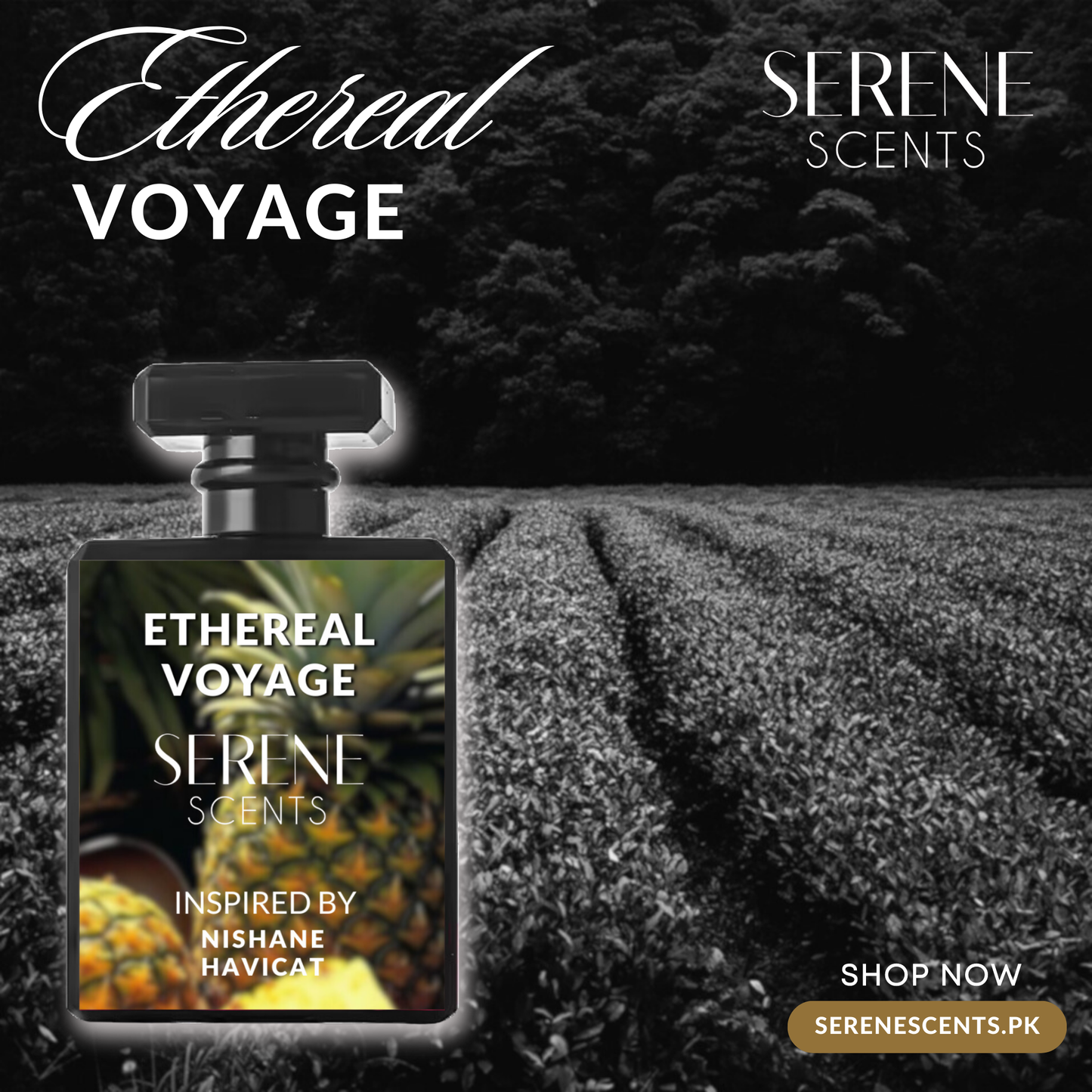 Ethereal Voyage - 50 ML Perfume